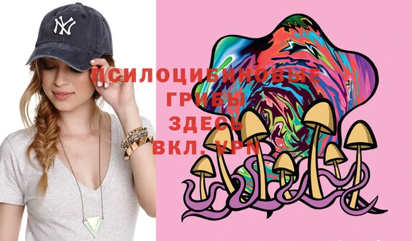 спиды Абдулино