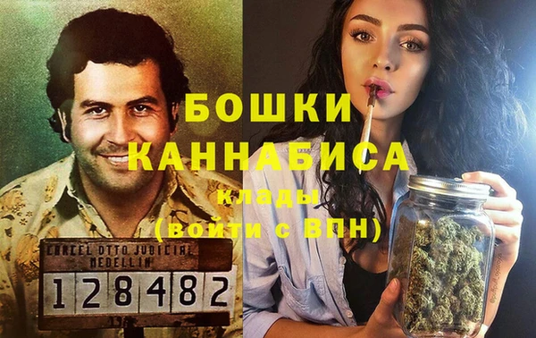 крисы Мегион