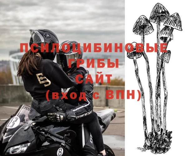 спиды Абдулино