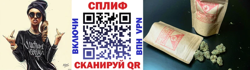 Конопля ГИДРОПОН  сколько стоит  Яхрома 
